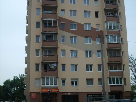 panell program panell program